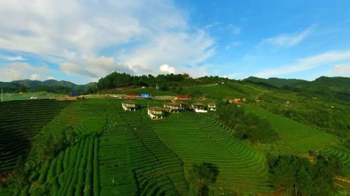 太美了！獨山凡間生態(tài)旅游項目強勢登陸北京文交會