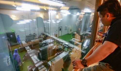 工業與椰香的交響曲 文昌龍樓椰子王國觀光工廠的融合之旅